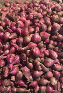 Bawang Merah 250 Gram