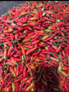Cabai Rawit Merah 250 Gram