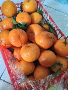 Jeruk Grade A 1 Kg