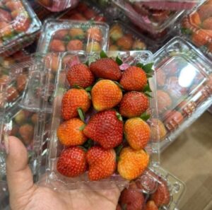 Strawberry 250 Gram