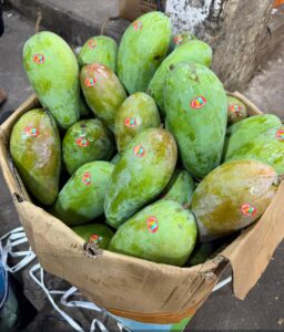 Mangga Kiojay 1 Kg